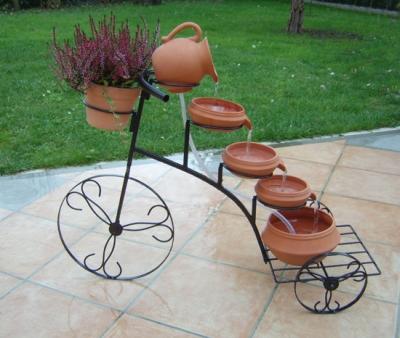 image insolite