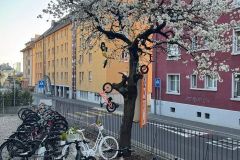 IMG_6015_s