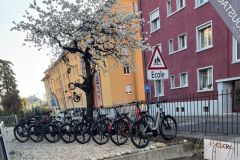 IMG_6017_h